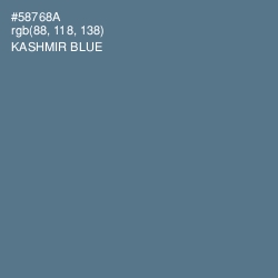 #58768A - Kashmir Blue Color Image
